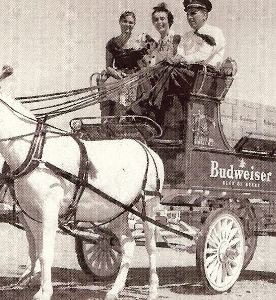 Cortelli Sisters on Budweiser horse drawn carriage