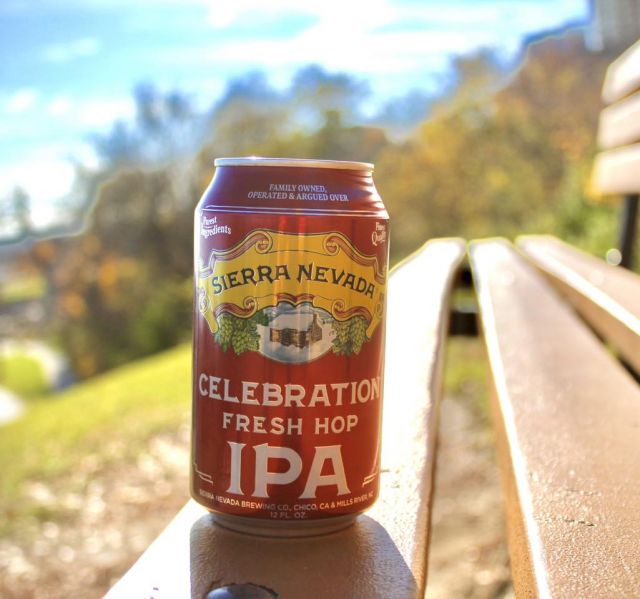 UNWRAP FRESH HOPS THIS SEASON 

Sierra Nevada’s Celebration Fresh Hop IPA is sure to light fire to your taste buds during this holiday season! 

Holiday Flavors & Aromas make for the perfect cheers at any Celebration!

Ask your sales rep about this brand today!

#SierraNevada #Celebration #FreshHops
